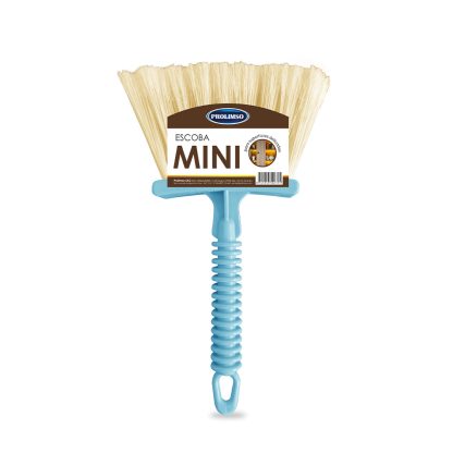 Escoba Mini