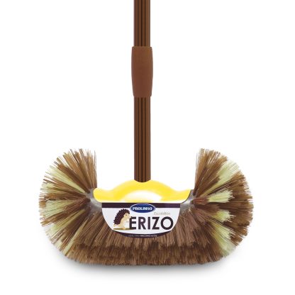 Escobillón Erizo