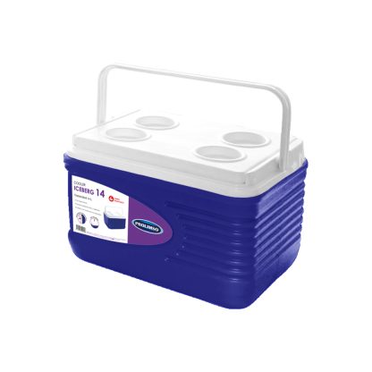 Cooler Iceberg 14